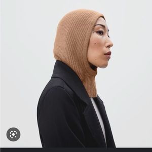 Everlane Wool Balaclava